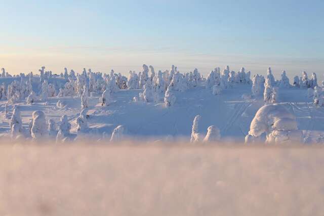 Отель Ruka Peak - Boutique Hotel & Restaurant Рука-20